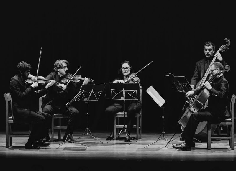 Wiener Kammersymphonie, gudački kvintet