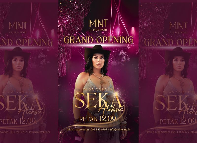 Seka Aleksić @ MINT CLUB