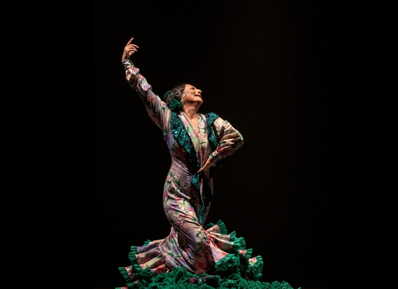 La Lupi - Flamenco Trio